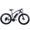 Electric Bike fat tire