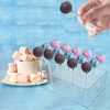 2pcs Acrylic Lollipop Display Holder 15 Hole Candy Stand