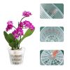 10pcs Clear Orchid Pots with Drainage Hole Clear Nursery Seedling Pots