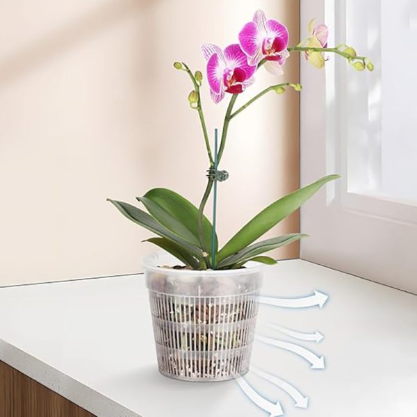 10pcs Clear Orchid Pots with Drainage Hole Clear Nursery Seedling Pots