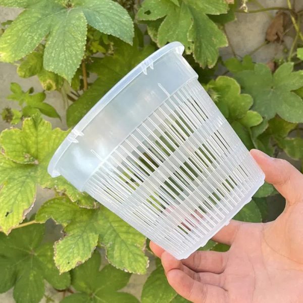 10pcs Clear Orchid Pots with Drainage Hole Clear Nursery Seedling Pots