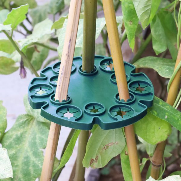 Plant Stake Connect Discs Bamboo Cane Holder Round Support Caps for Beans Tomatoes Cucumber