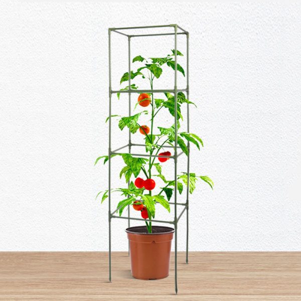 Square Tomato Cage Racks Climbing Support Rack Plant Plastic Coated Metal Pipe Bracket 2 Set