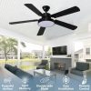 48Inch 52Inch Ceiling Fans With Lights Remote Dual Finish Blades Quiet Strong Motor