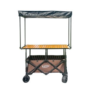 Folding Vendor Stall Cart with Canopy Market Snack Cart with Large Tabletop Portable Stall Cart